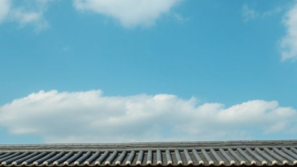 복날,삼계탕,초복,중복,말복,닭요리,피로,골절,해소,피로해소,원기,회복,원기회복,해독