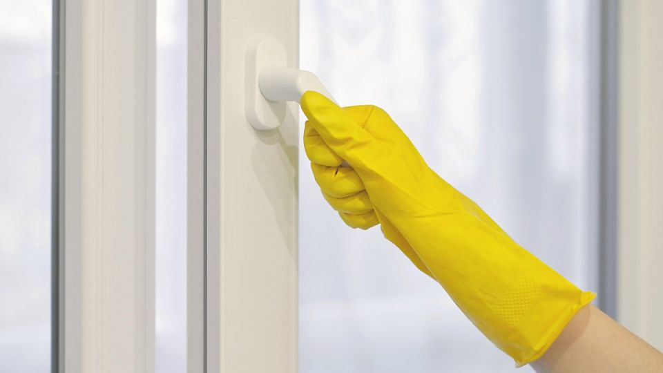 나만의닥터, 비대면진료, 꽃가루알레르기, 봄철알레르기, 알레르기치료법, 알레르기원인, 알레르기치료, 알레르기예방법