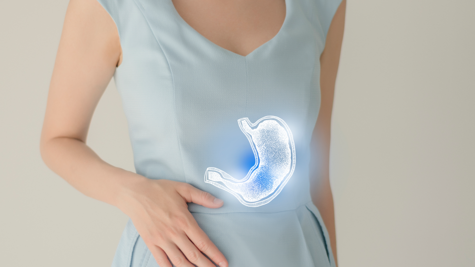 운동적정시기, 공복운동, 식후운동, 식전운동, 소화