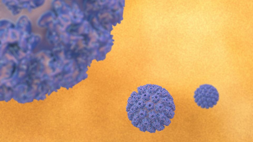나만의닥터, 비대면진료, 소아과, 소아과오픈런, 아데노바이러스, 알레르기,수족구병