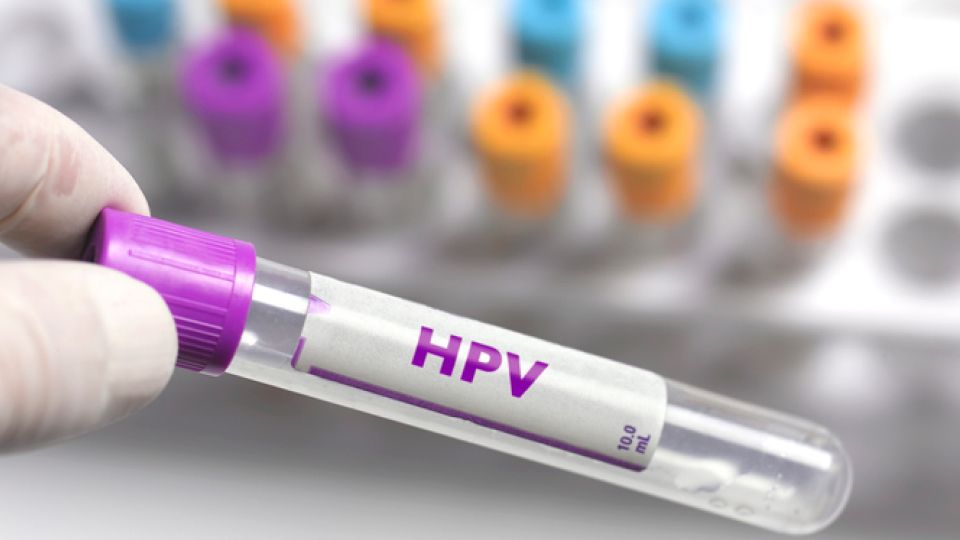 HPV, HPV바이러스, 자궁경부암, 가다실, 인유두종바이러스