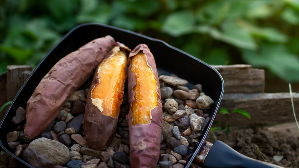 면역력, 감기, 항산화, 면역반응, 항생물질