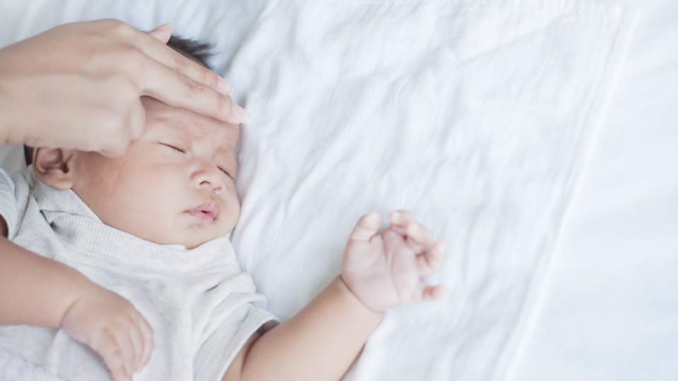 영유아, 독감, 예방 접종, 열, 일정