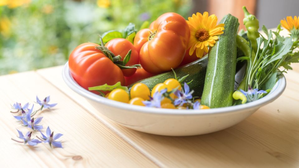 아이 이유식, 선식, 냉동보관, 조리법, 분유
