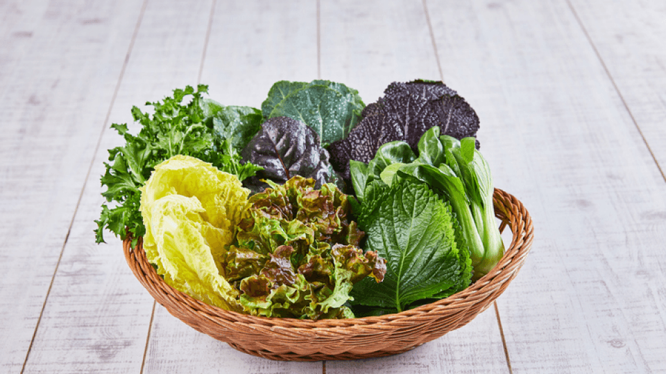 건강꿀팁 본문 이미지.png