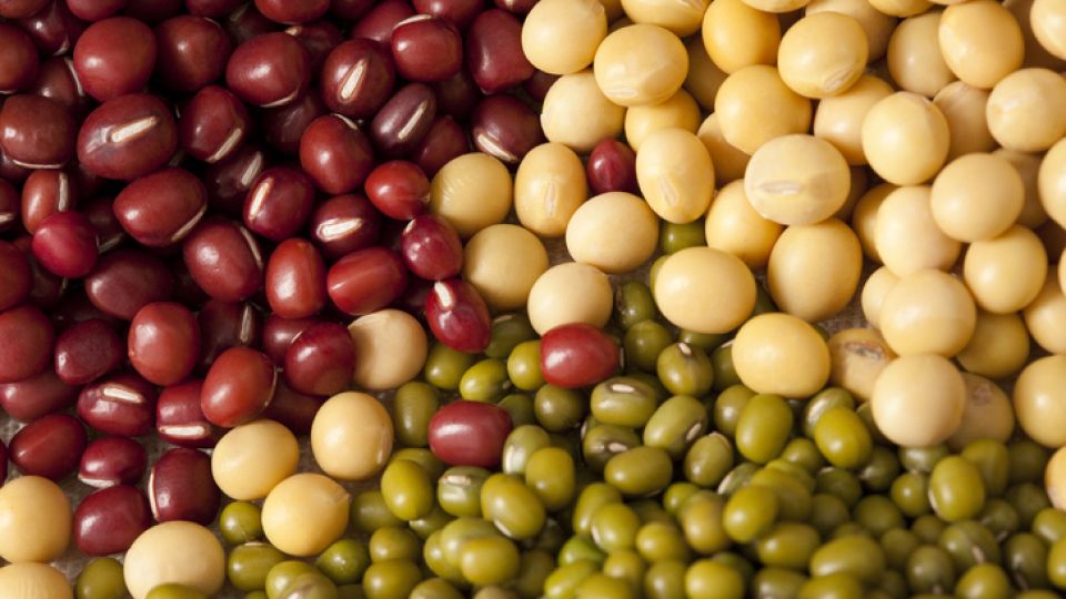 유방암, 유방암 속설, 유방암 발병률, 유방암 예방, 유방암 예방 습관