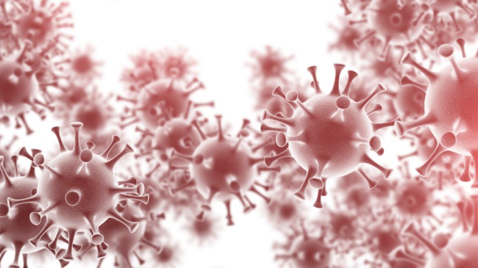 코로나, 코로나19, 바이러스