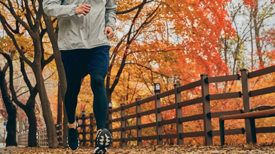 면역력, 면역, 면역체계, 소화불량, 구강질환, 대상포진, 운동, 스트레스, 브로콜리, 마늘, 블루베리