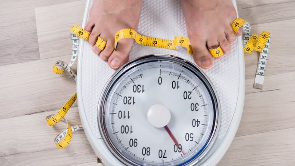 여름철식욕부진, 식욕감소, 여름철식욕저하, 식욕저하이유, 식욕저하원인, 식욕부진원인, 식욕돋구는음식, 식욕돋구는과일, 식욕회복법