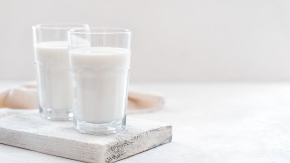 카페인, 약 복용 시 주의사항, 유제품, 술, 카페인, 올바른약복용방법  나만의닥터, 비대면진료