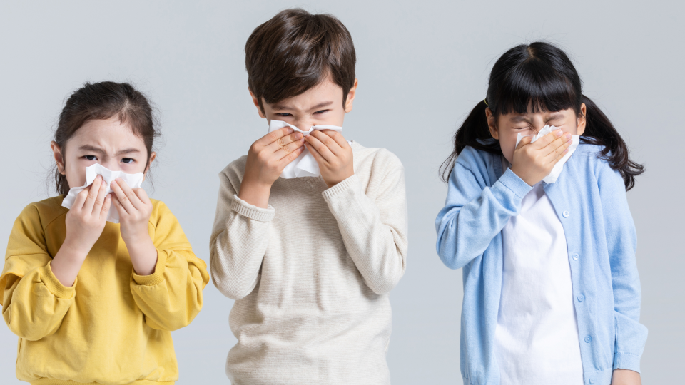 평발은 병인가.png