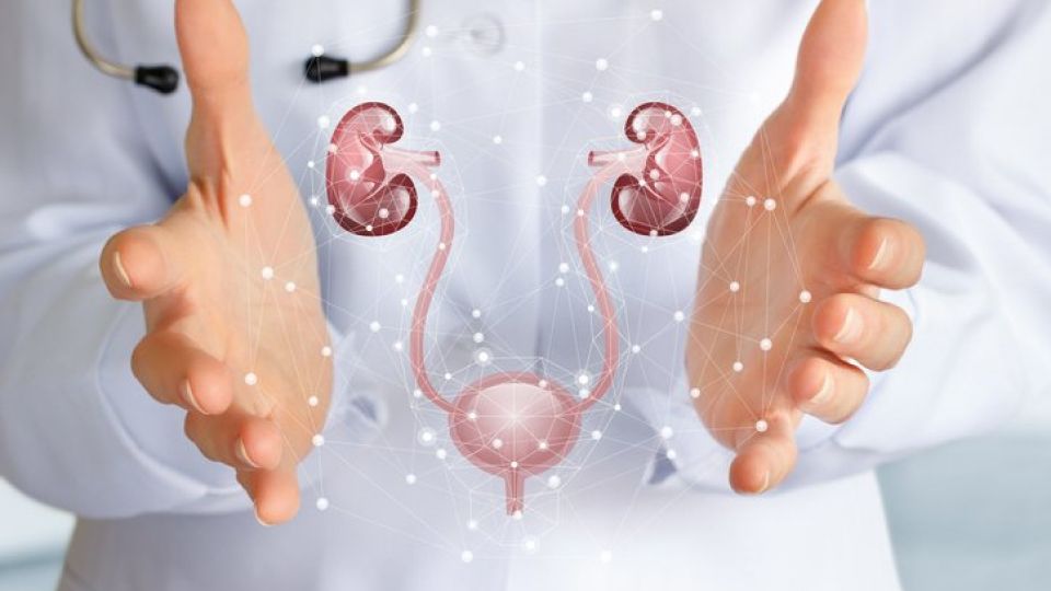 요로결석, 요로결석 원인, 요로결석 치료법, 요로결석 증상, 요로결석 정의, 요로결석 예방법, 요로감염, 방광