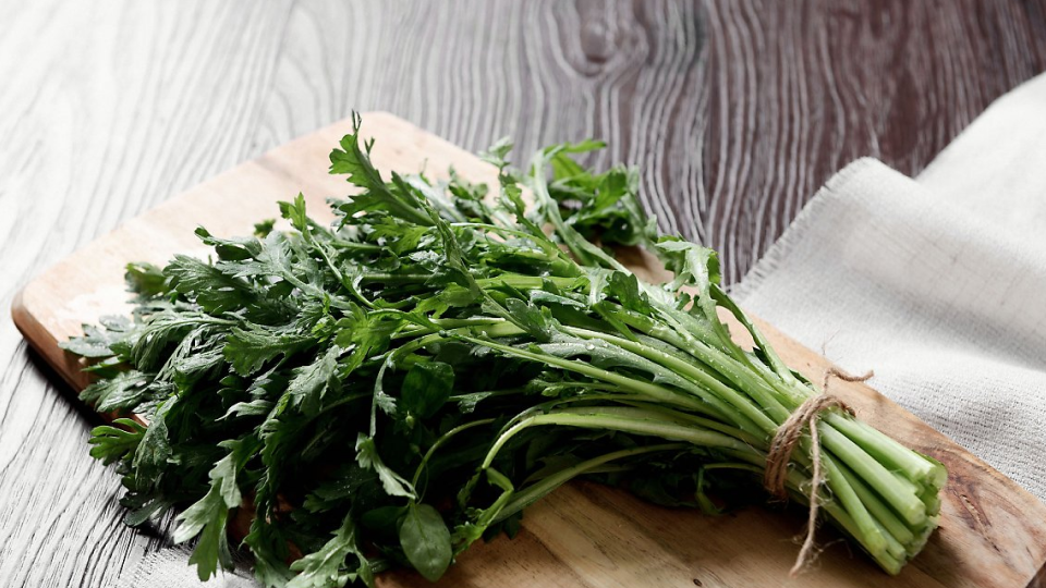 자궁 건강, 습관, 영양제, 음식, 여성