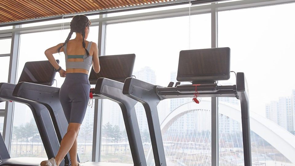 다이어트, 식단, 운동, 수분 섭취, 다양성