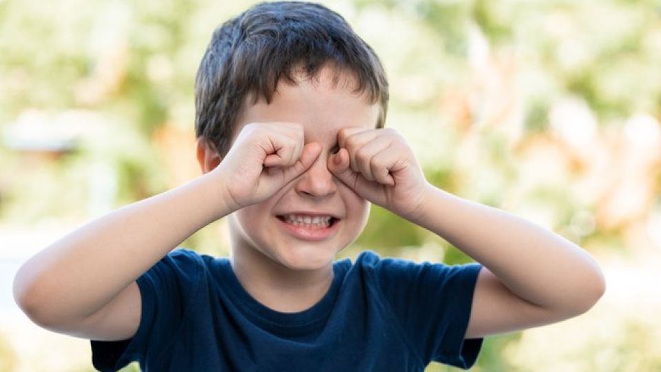 알레르기성결막염, 결막염, 알레르기, 꽃가루, 결막염증상. 결막염렌즈, 결막염원인, 결막염예방