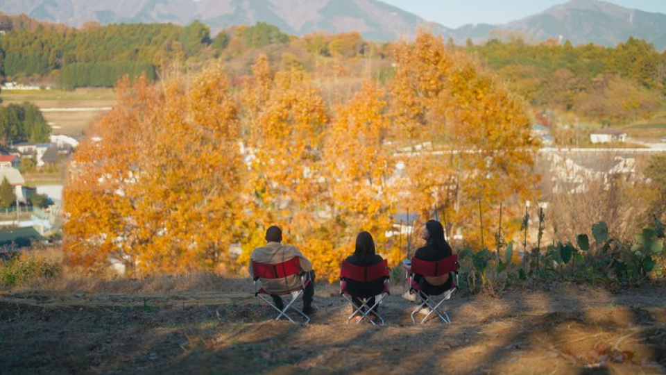 탈모, 환절기, 탈모원인, 병적탈모, 생리적탈모