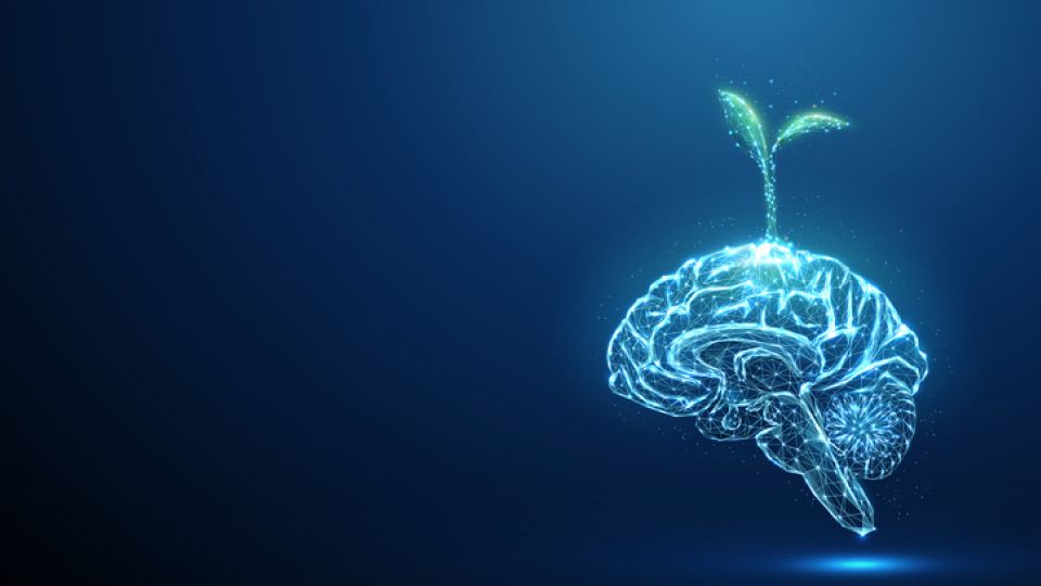 하품, 하품 효능, 산소부족, 하품 이유, 뇌졸증 전조증상