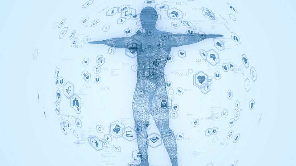 공복 유산소 운동,근육 분해, 유산소, 다이어트, 비만