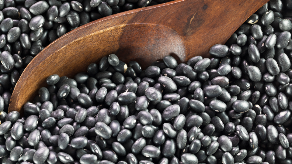 머리건강, 두피, 탈모, 머릿결, 머리카락건강