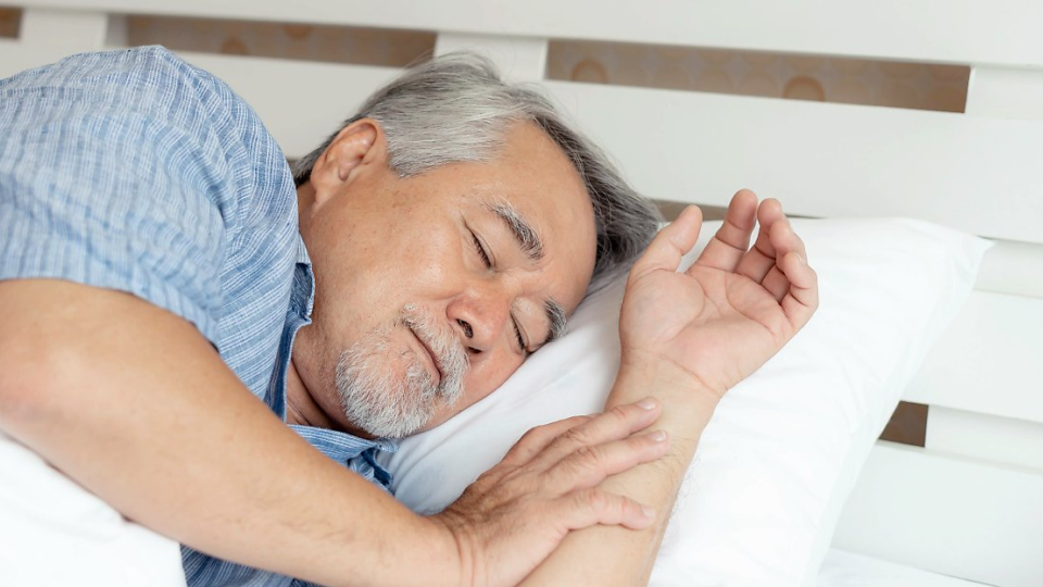 잠, 수면, 수면시간, 렘수면, 평균수면시간