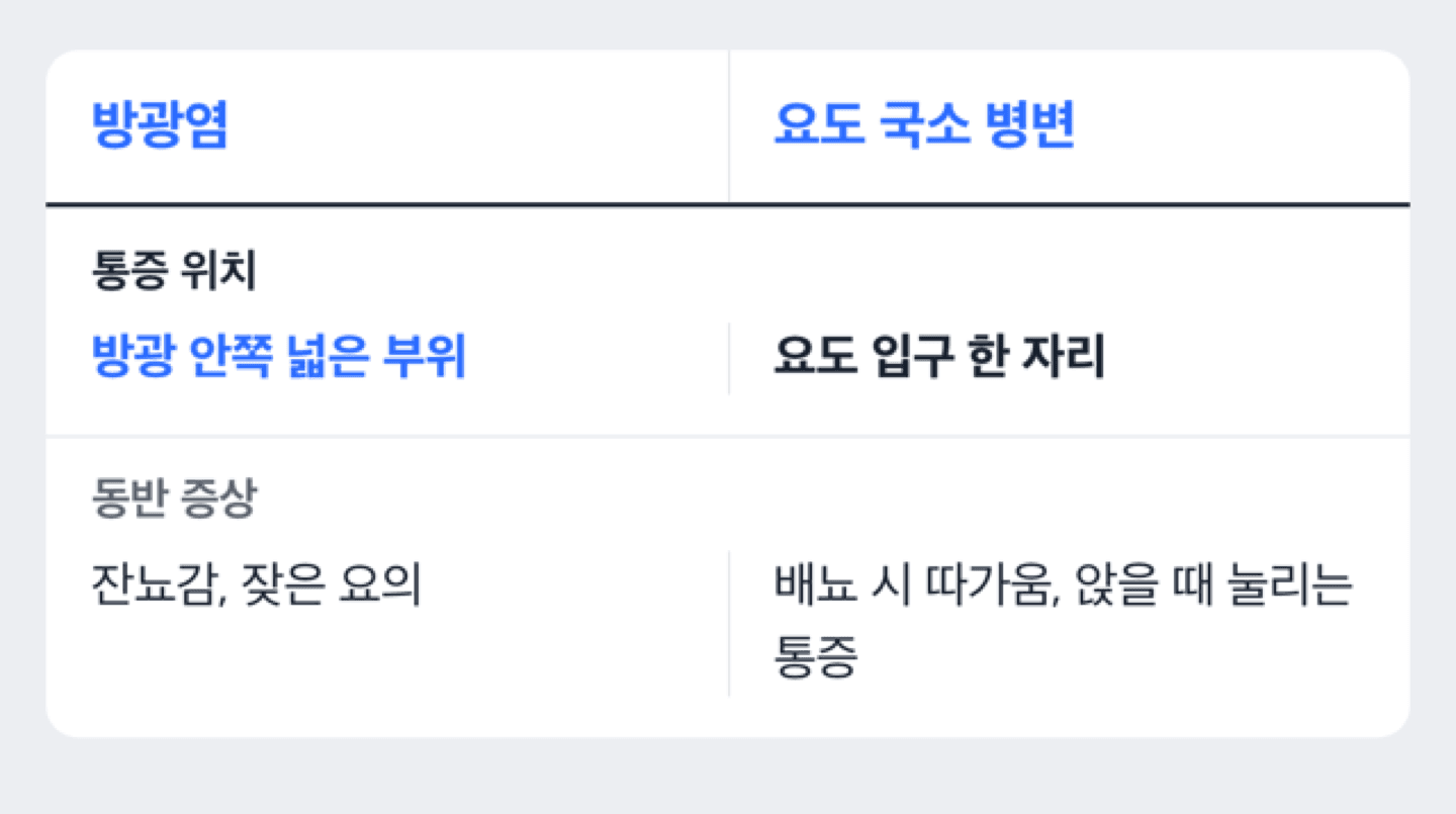 요도 국소 병변과 방광염의 통증 위치가 어떻게 다른지 비교하는 도해