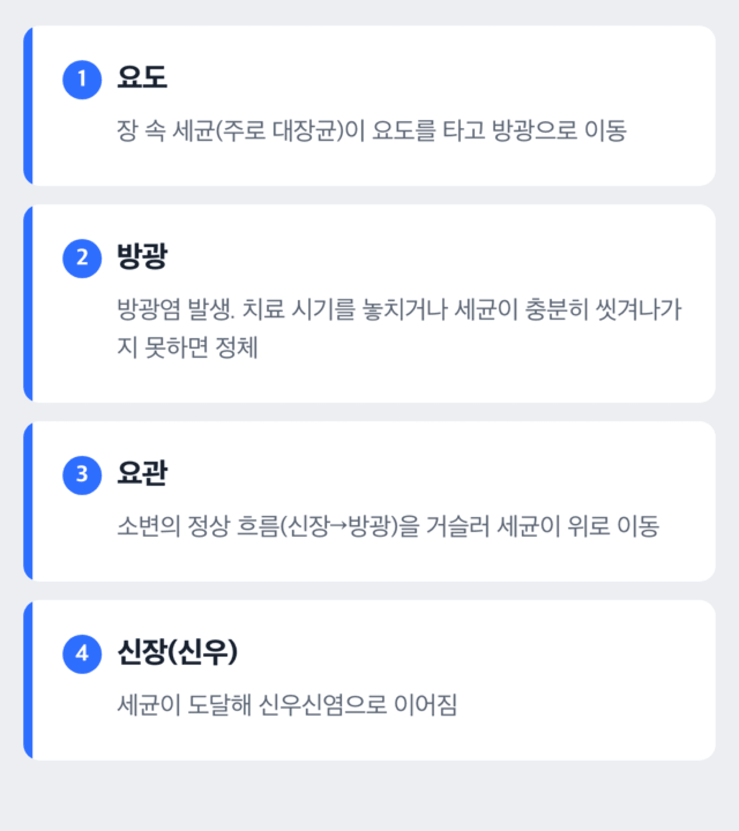 세균이 방광에서 요관을 타고 신장까지 올라가는 상행성 감염 경로를 보여주는 도해