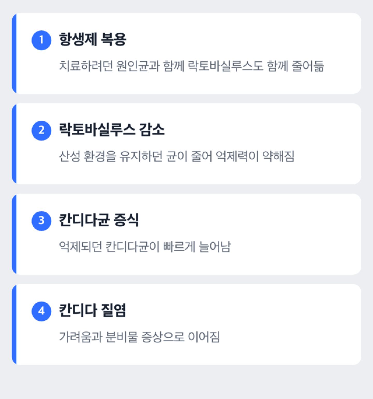 항생제 복용이 락토바실루스를 줄이고 칸디다균이 늘어나는 과정을 보여주는 도해