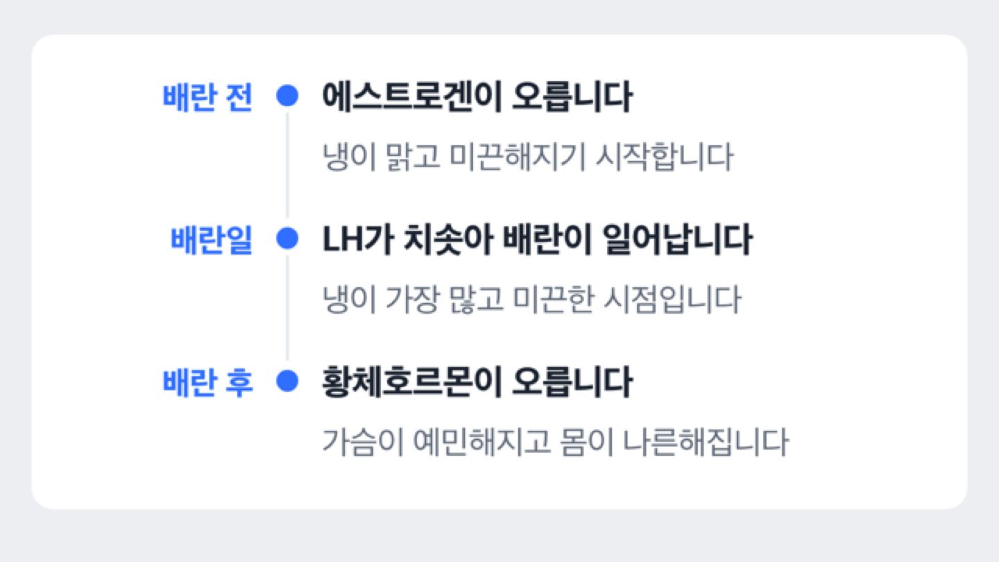 배란 전, 배란일, 배란 후 호르몬 변화와 몸의 신호를 보여주는 타임라인 도해