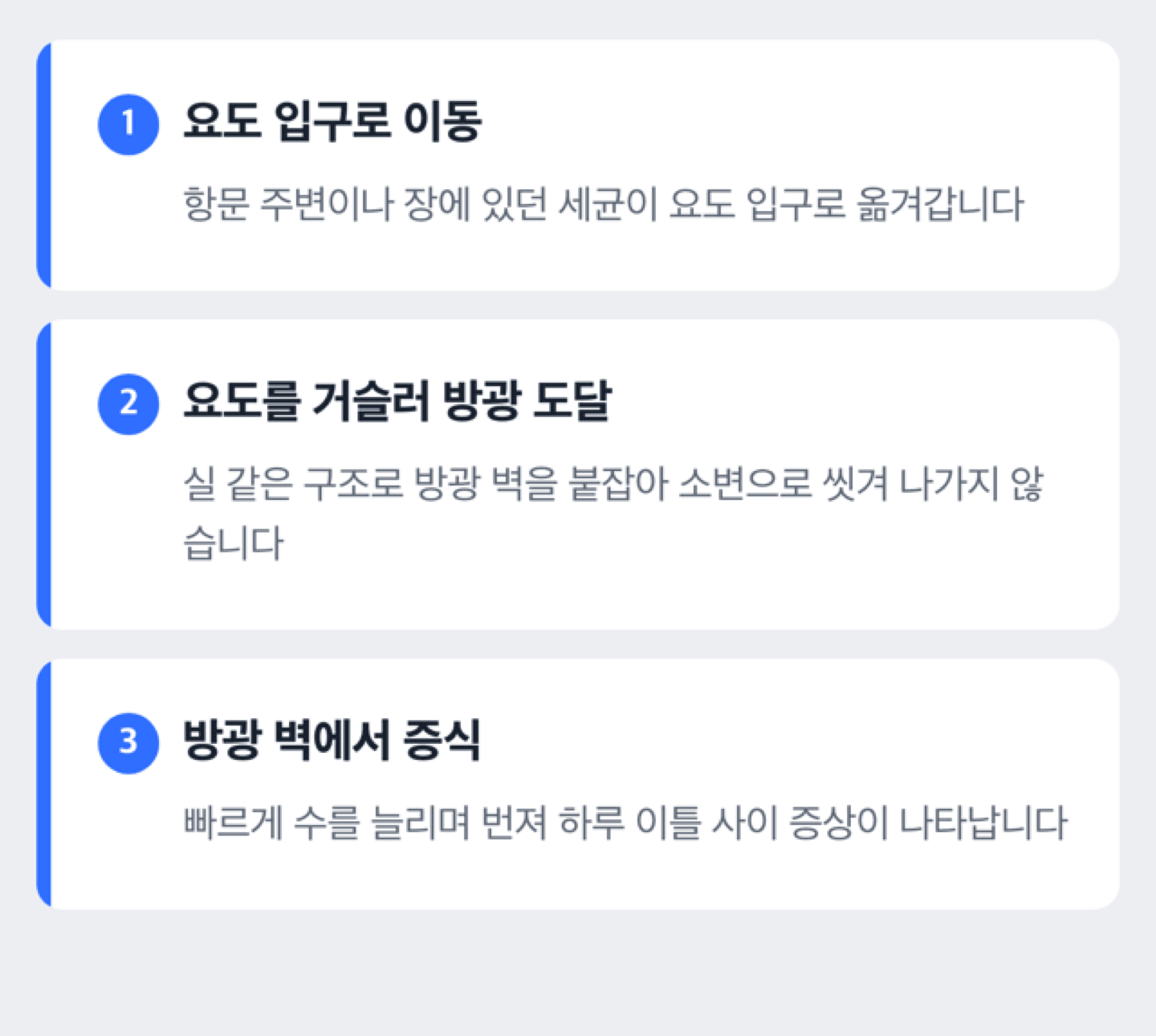 세균이 요도를 거쳐 방광에 도달하는 경로 도식