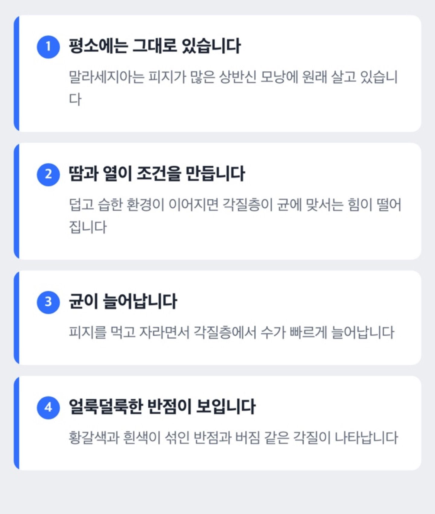 말라세지아가 늘어나 어루러기가 생기는 과정 도해