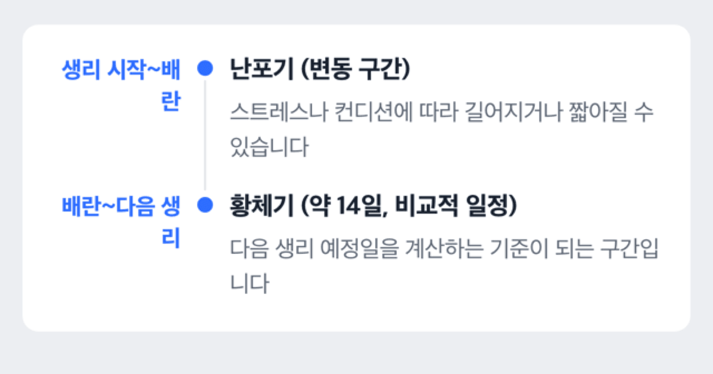 월경 주기에서 난포기와 황체기 길이 차이를 보여주는 타임라인 도식