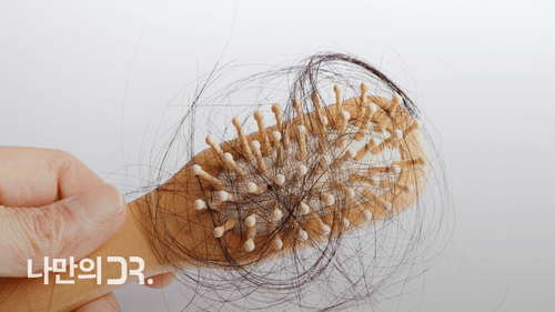 맥주 효모에 함유된 아미노산은 모발에 영양분을 공급해주어 탈모 예방에 도움이 된다.