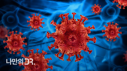 헤르페스 2형은 1형과 달리 주로 입술 및 얼굴 주변에 단순 포진을 일으킨다.