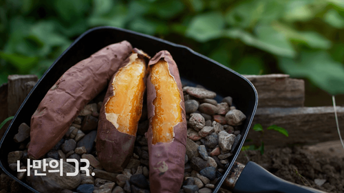 어중간한 자세로 소파에 있으면 추간판탈출증을 유발할 수 있다