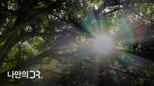 러브버그는 질병을 매개하지 않고, 환경 정화에 도움을 주는 익충 이다.