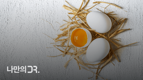 달걀은 물에 씻어서 보관해야 오염물질이 흡수되지 않는다.