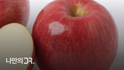 사과 껍질 속 우르솔릭산은 근육위축증 예방 및 완화 효과가 있다.