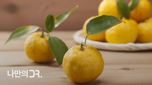 유자에는 다량의 칼슘이 함유되어 있어 골다공증 예방에 도움이 된다.